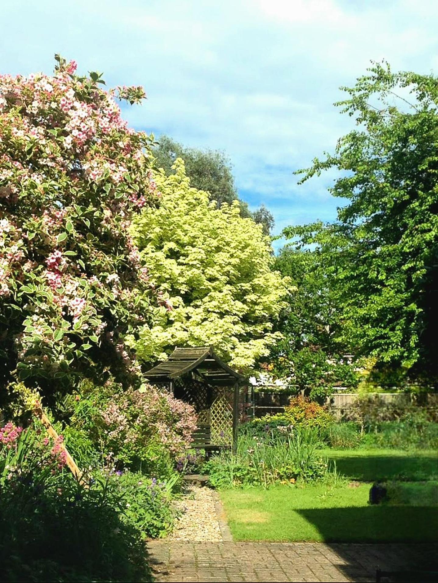 Hollybush 2* Oxford