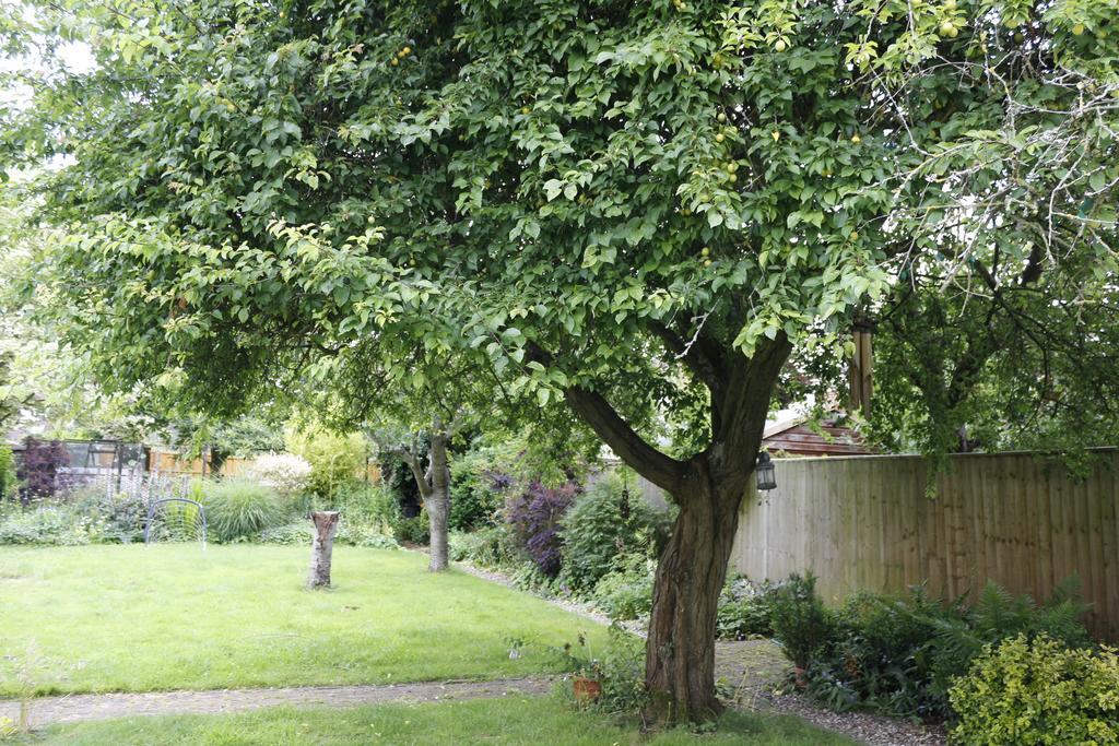 Hollybush Oxford
